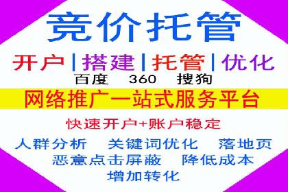 成功SEM托管案例解析